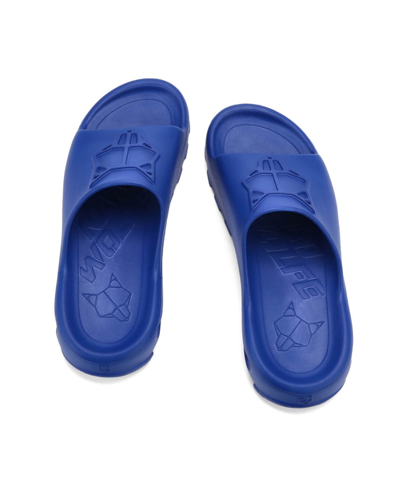 Blue Naked Wolfe Tommy Men's Slides | YWI4422HT