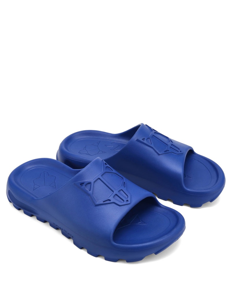 Blue Naked Wolfe Tommy Men's Slides | YWI4422HT