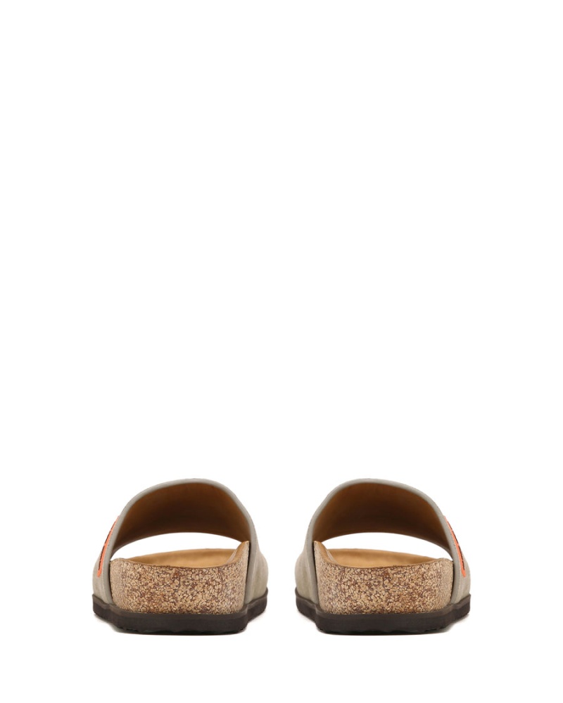 Grey Brown Naked Wolfe Moody Suede Men's Slides | EJU6874WJ