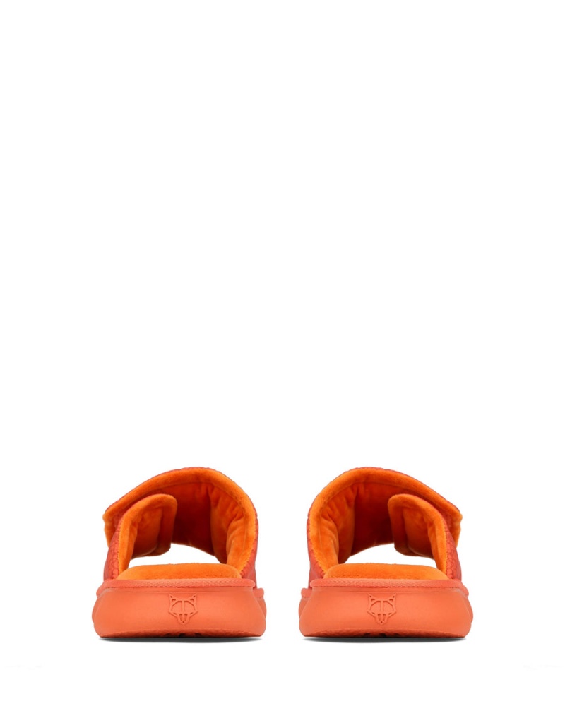 Orange Naked Wolfe Alaska Men's Slides | UAA8092UW