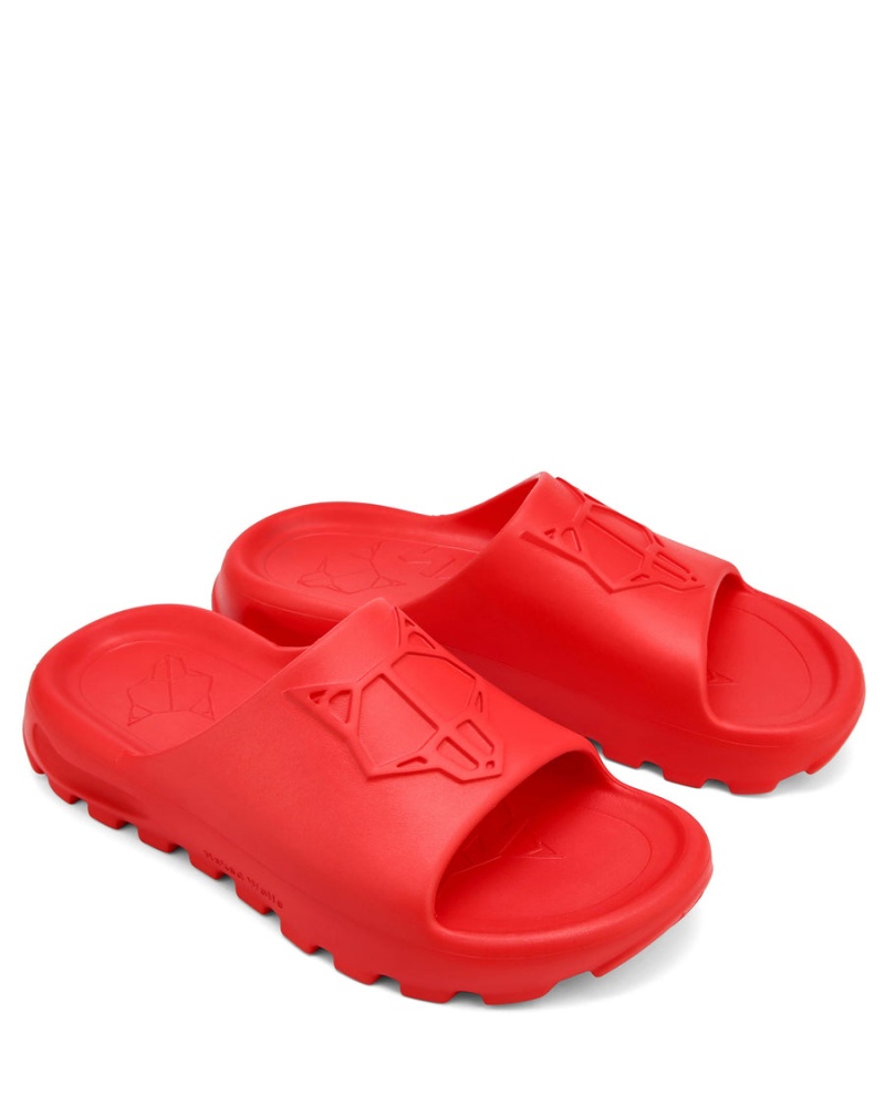 Red Naked Wolfe Tommy Men's Slides | APQ4313PV