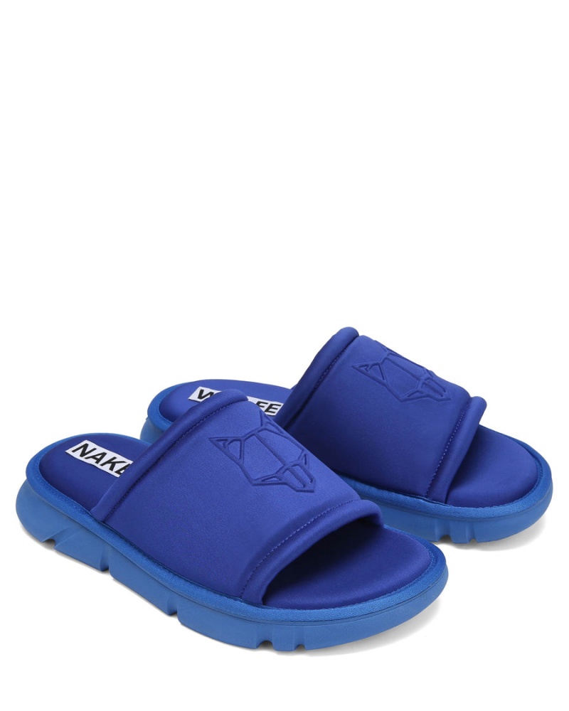 Royal Blue Naked Wolfe Arizona Men's Slides | WGD8092QW