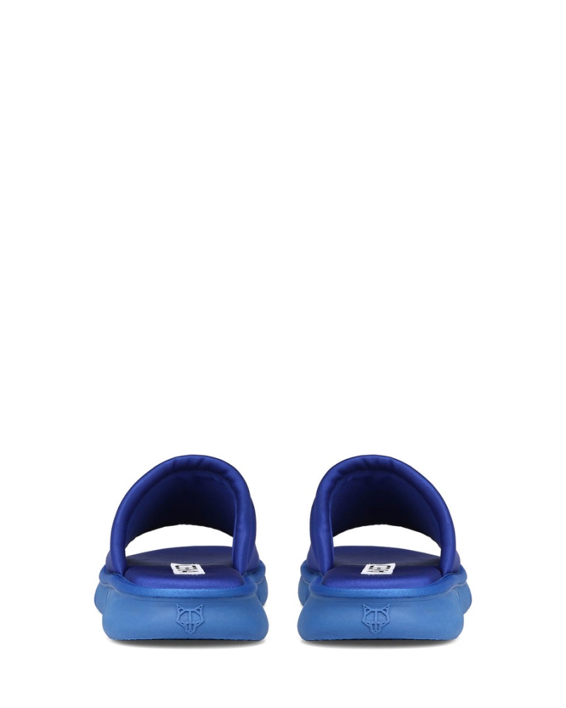 Royal Blue Naked Wolfe Arizona Men's Slides | WGD8092QW